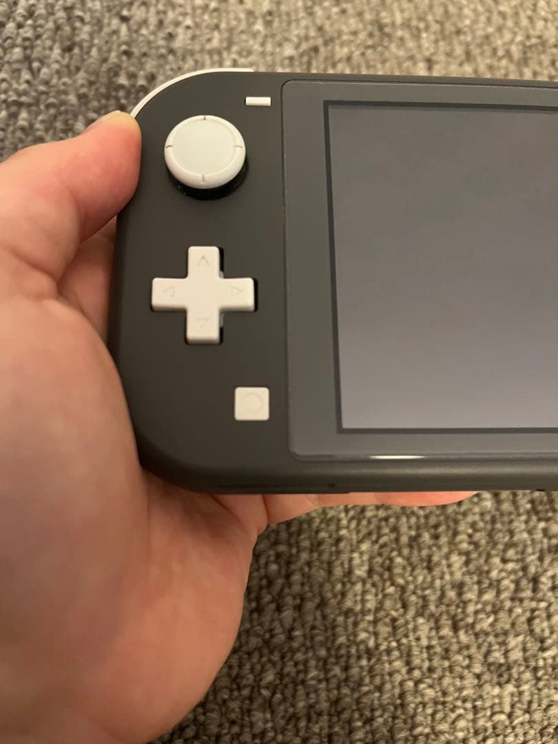 Nintendo Switch Lite 本体、充電器、ケース付き