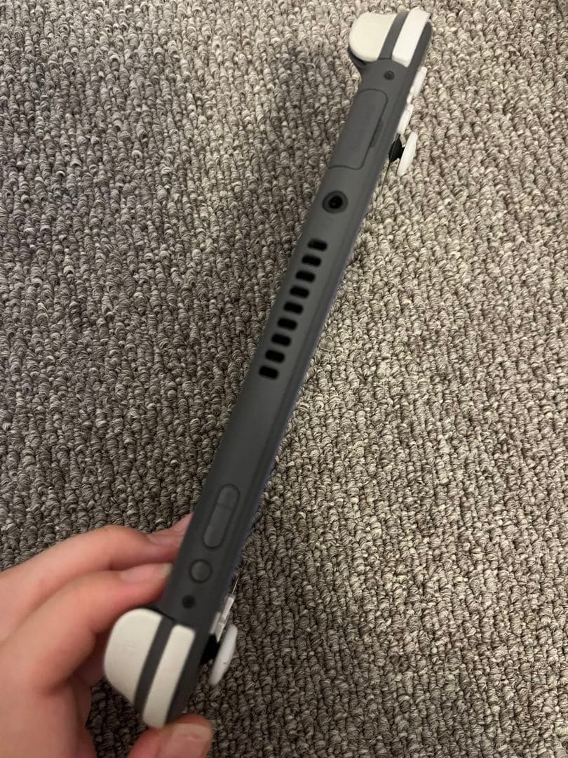 Nintendo Switch Lite 本体、充電器、ケース付き