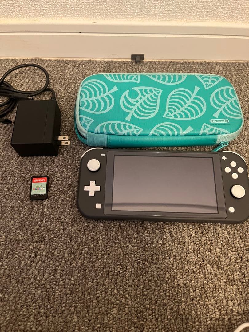 Nintendo Switch Lite 本体、充電器、ケース付き