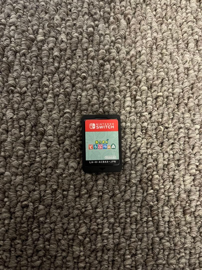 Nintendo Switch Lite 本体、充電器、ケース付き