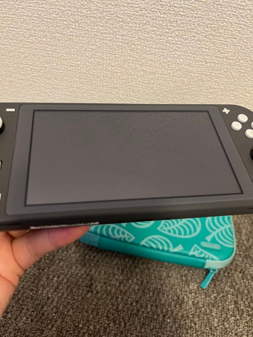 Nintendo Switch Lite 本体、充電器、ケース付き