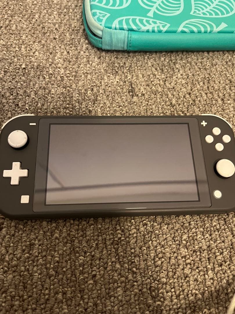 Nintendo Switch Lite 本体、充電器、ケース付き