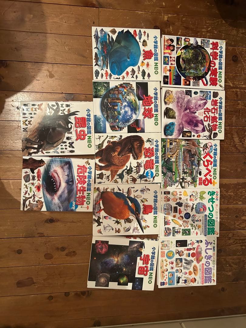 小学館の図鑑 NEO 小学館の図鑑NEO＋ 小学館プレNEO 12冊セット