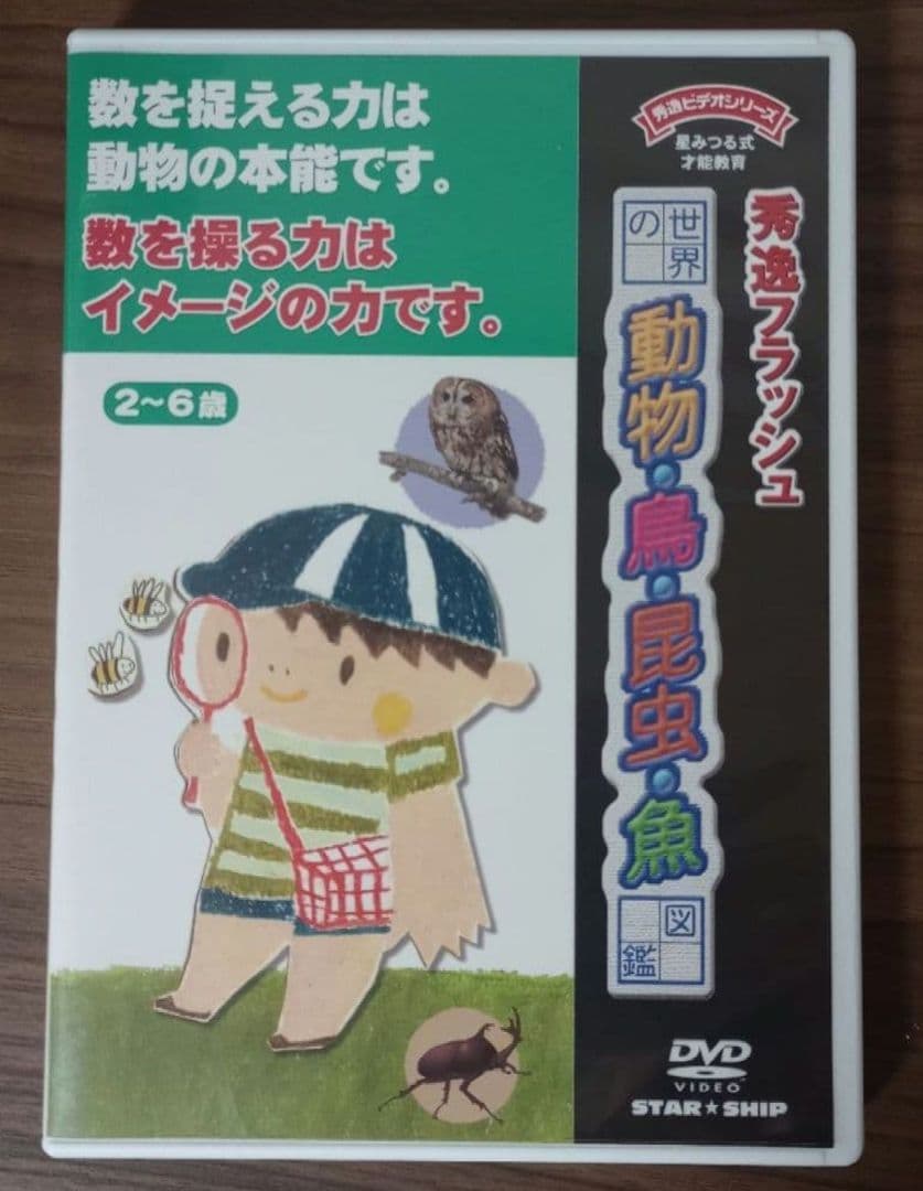 【秀逸フラッシュDVD】ティンカーベル９巻セット☆取り組みノート付き☆星みつる☆