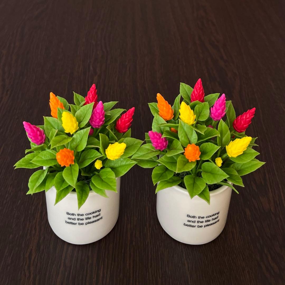 専用　ブライダルベール　ケイトウ　八重咲ペチュニア　クレイフラワー