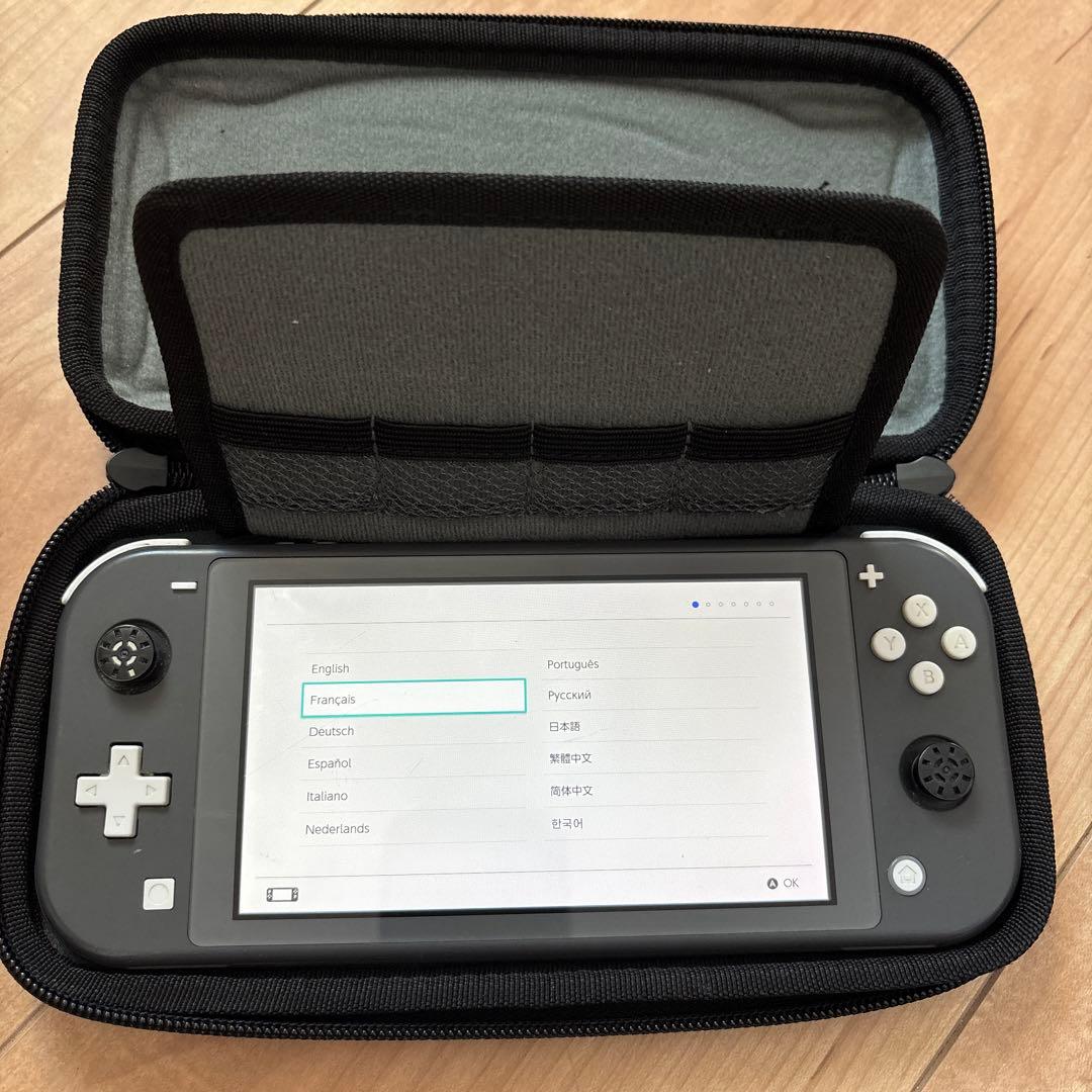 Nintendo Switch Lite グレー キャリングケース付ジャンク