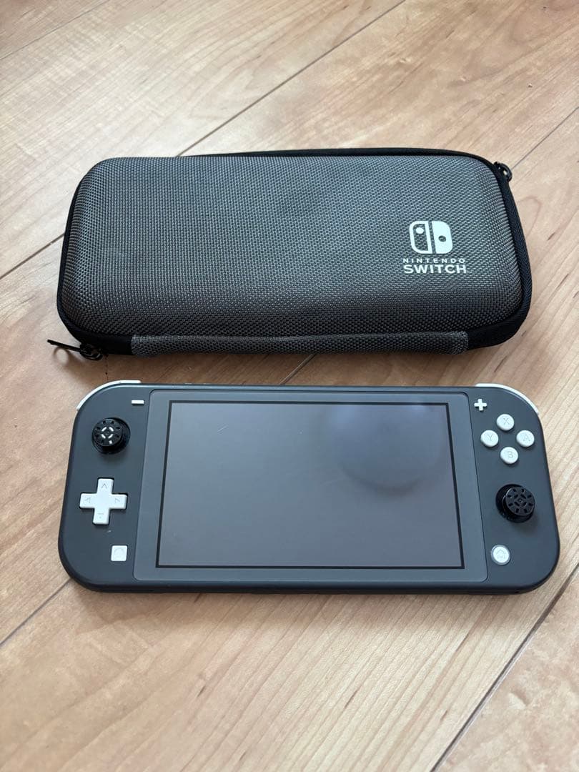 Nintendo Switch Lite グレー キャリングケース付ジャンク