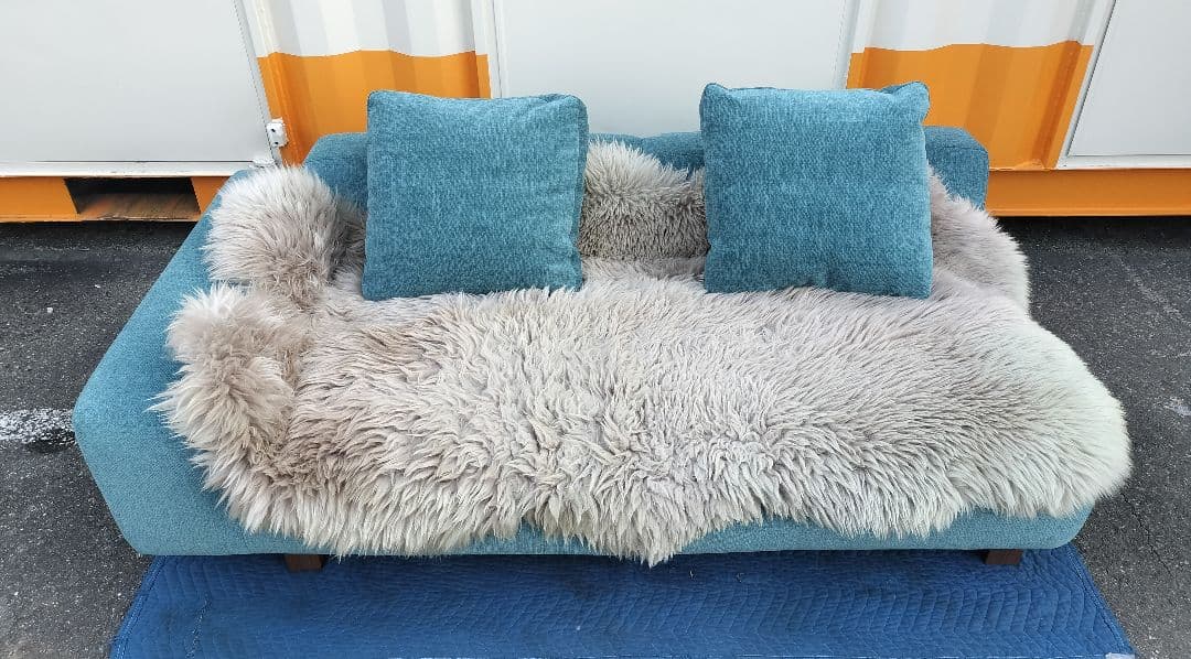 ノイエス「NOYES」Decibelシリーズ ローソファ