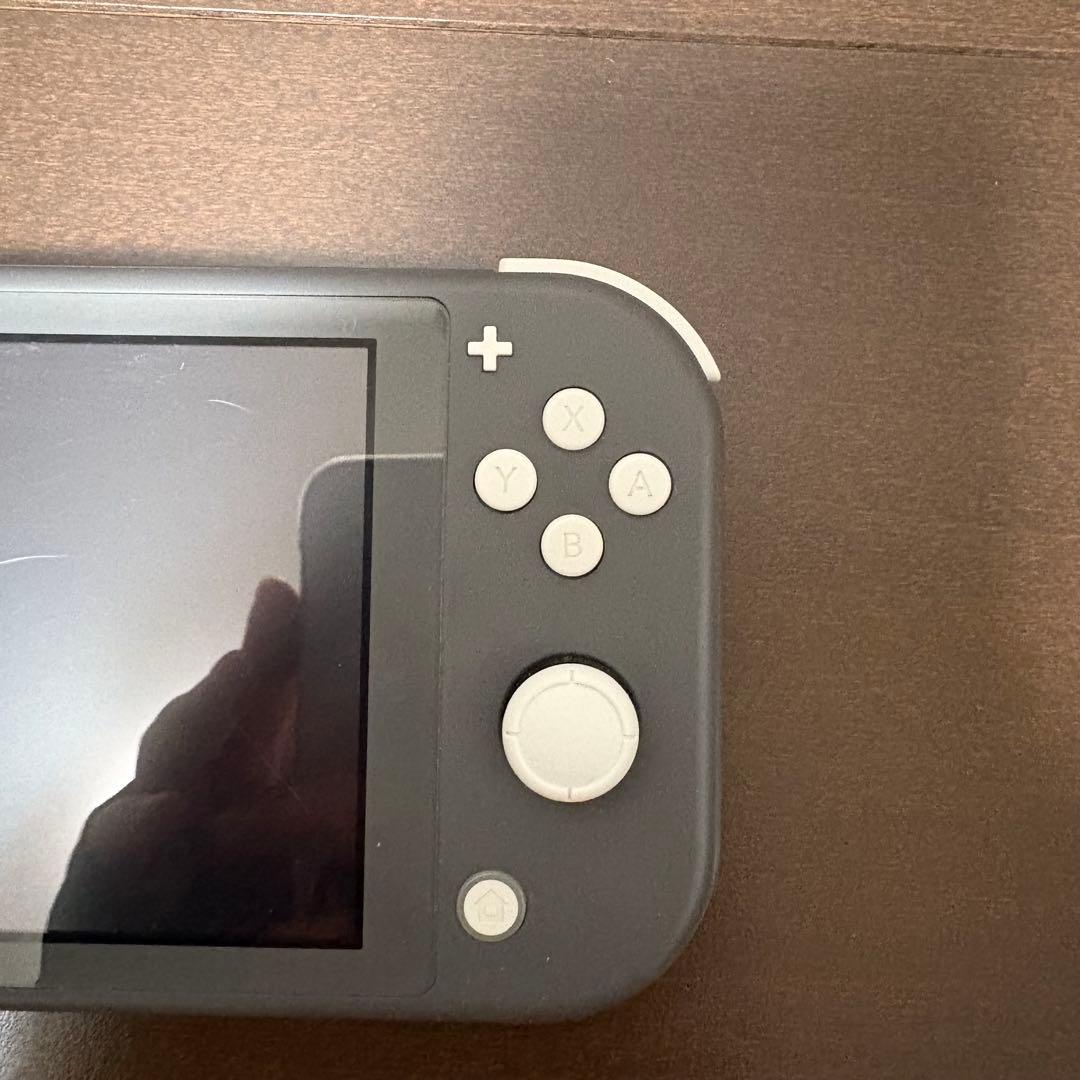 Nintendo Switch Lite グレー 本体 + ポケモンソフト
