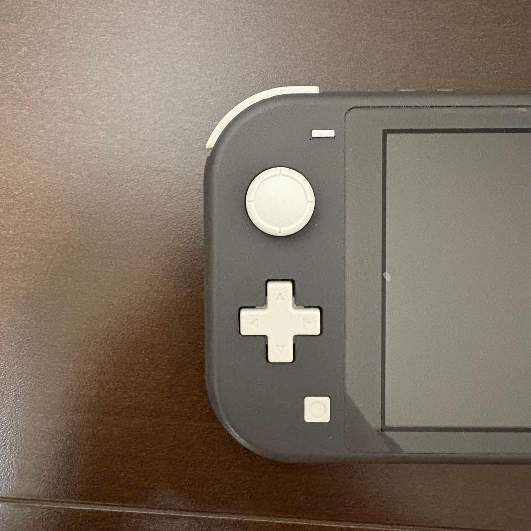 Nintendo Switch Lite グレー 本体 + ポケモンソフト
