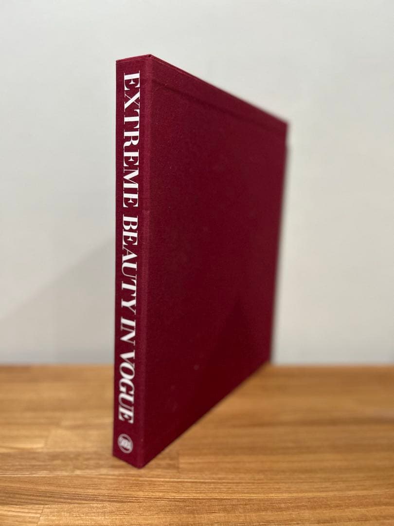 美品　EXTREME BEAUTY IN VOGUE ドルチェ＆ガッバーナ