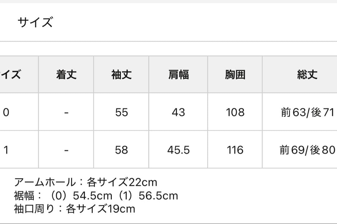 S*z様 ビアズリー Tブラウス　ホワイト サイズ1