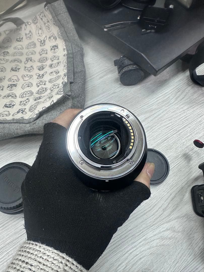 ぽ*ん様 SONY FE 85mm F1.8 (ソニー Eマウント 単焦点)