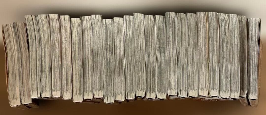 サカモトデイズ24巻セット