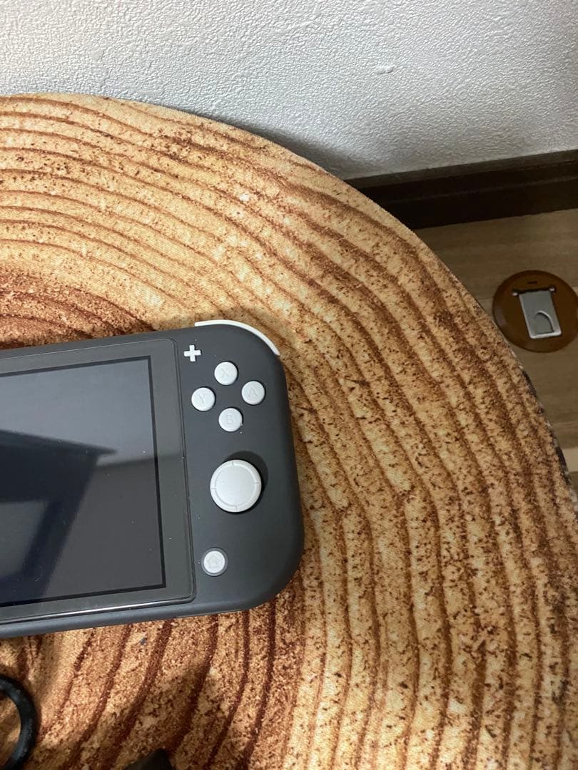 海外版　Nintendo Switch Lite グレー　本体