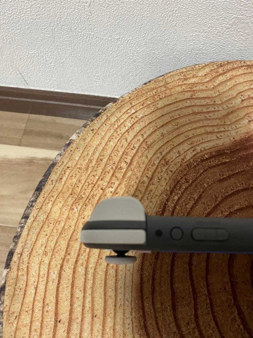 海外版　Nintendo Switch Lite グレー　本体