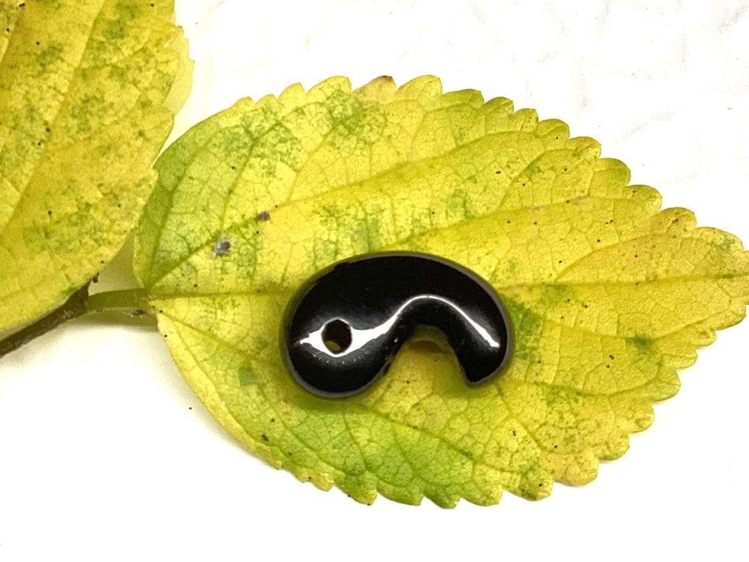 ✳黒平鉱山*モリオン水晶勾玉*希少高額になっています‼️ 本物保証品　業者様も‼️