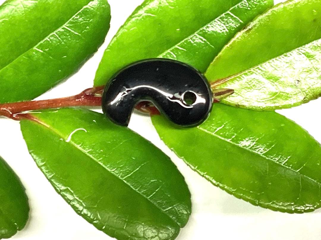 ✳黒平鉱山*モリオン水晶勾玉*希少高額になっています‼️ 本物保証品　業者様も‼️