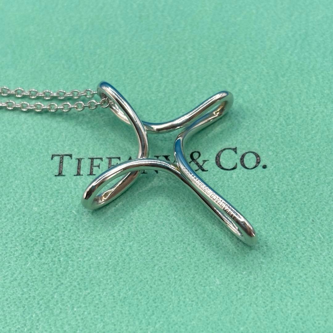 TIFFANY&Co.【極美品・廃盤】インフィニティクロスネックレスラージ付属品
