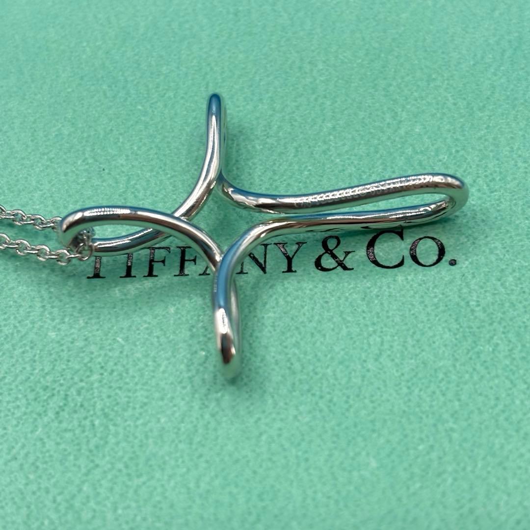 TIFFANY&Co.【極美品・廃盤】インフィニティクロスネックレスラージ付属品