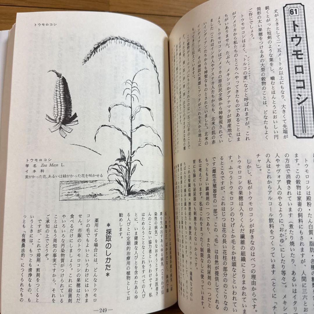 メッセゲ氏の薬草療法 ハーブ 薬草 自然療法 本 自然の友社 モーリス・メッセゲ