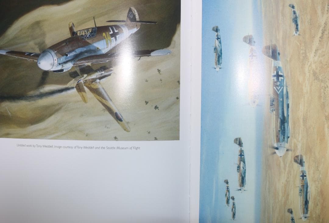 貴重　アフリカの星　撃墜王ハンス・ヨアヒム・マルセイユ『洋書』中古本