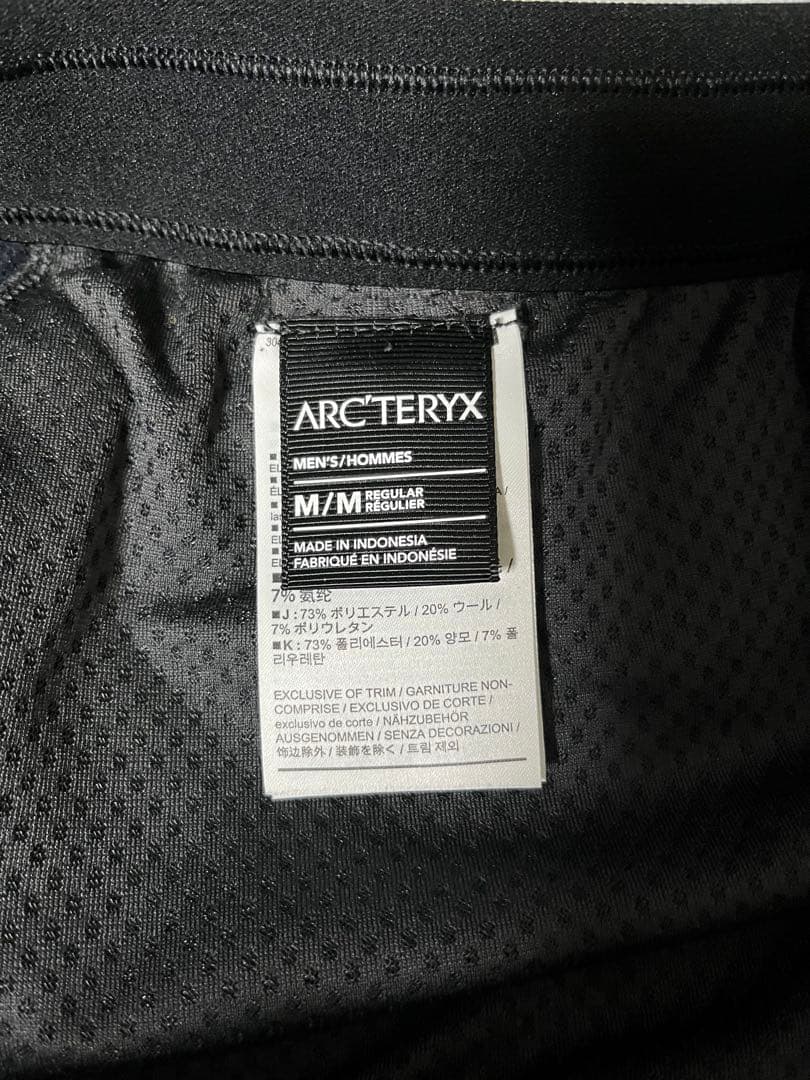 Arc'teryxアークテリクス カイヤナイトARテックウールジョガーパンツ