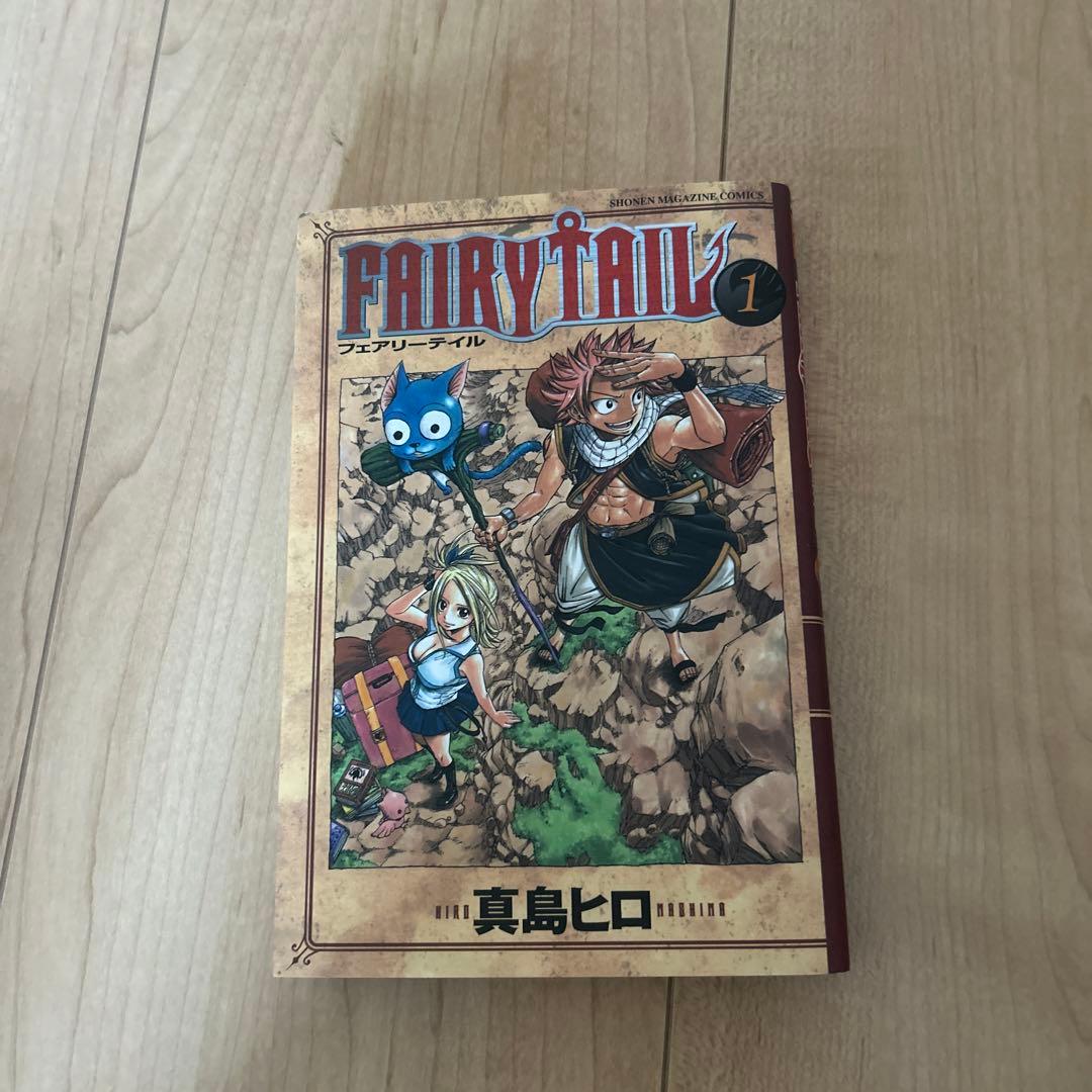 FAIRY TAIL全巻　FAIRY TAIL100年クエスト1〜最新刊　他5冊