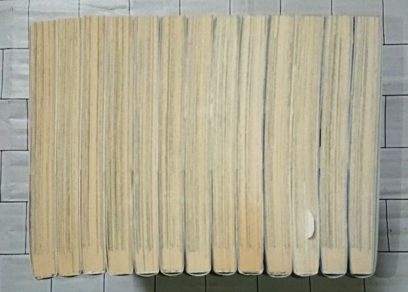 Fate Grand Order & EXTELLA コミックアンソロジー13冊