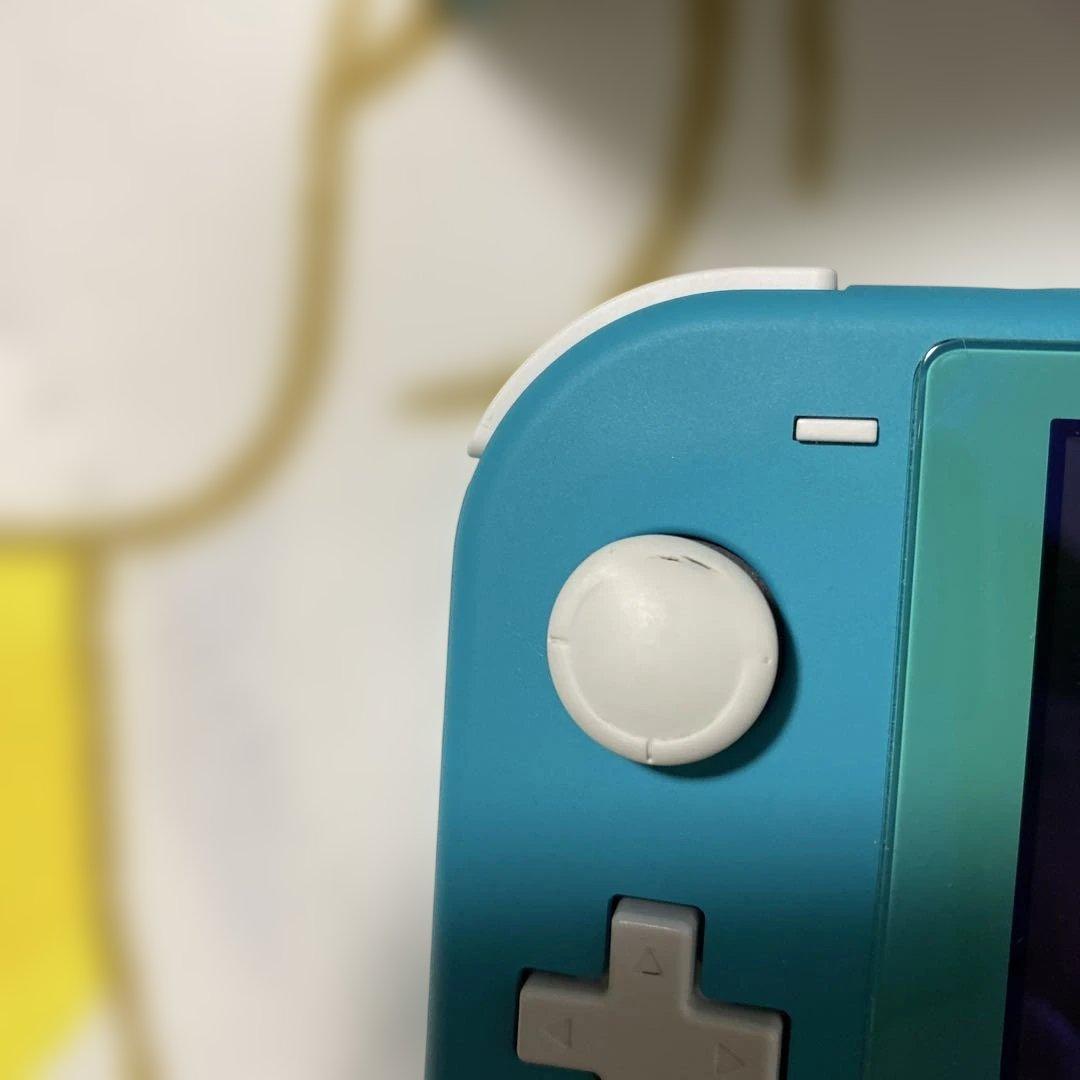 Nintendo Switch Lite ターコイズ 本体 充電器　公式ケース付