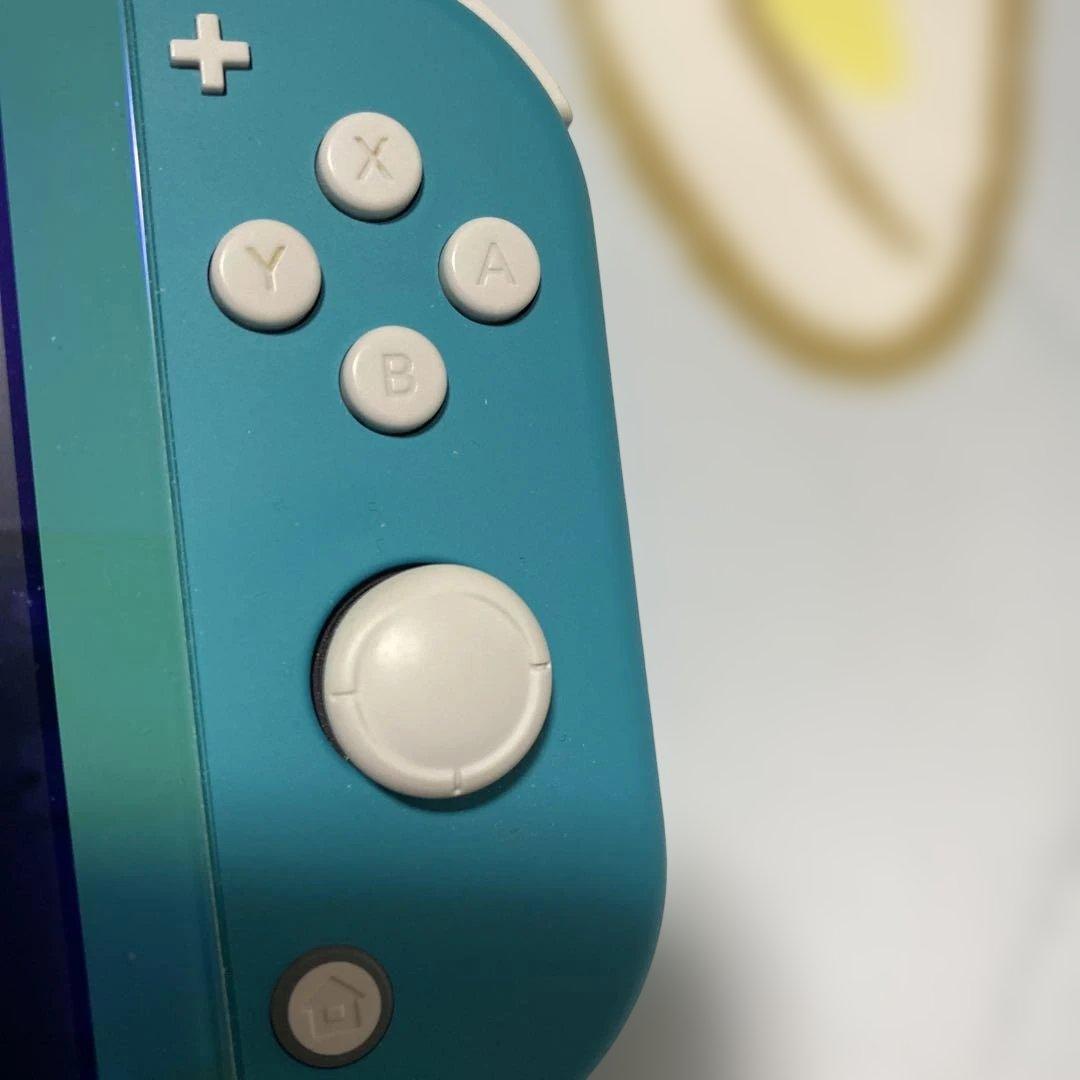 Nintendo Switch Lite ターコイズ 本体 充電器　公式ケース付