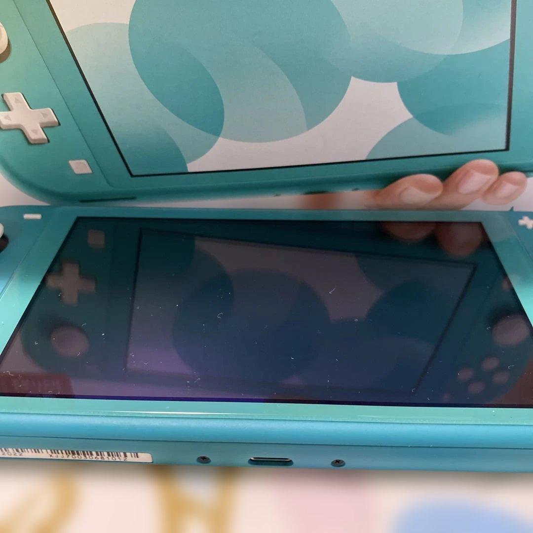 Nintendo Switch Lite ターコイズ 本体 充電器　公式ケース付