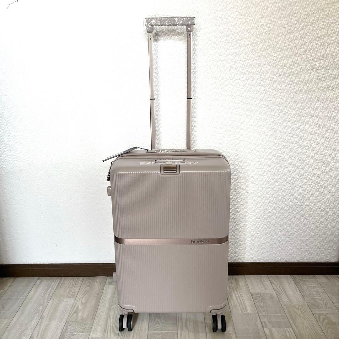 未使用品 Samsonite×スナイデル ミンター61 入手困難