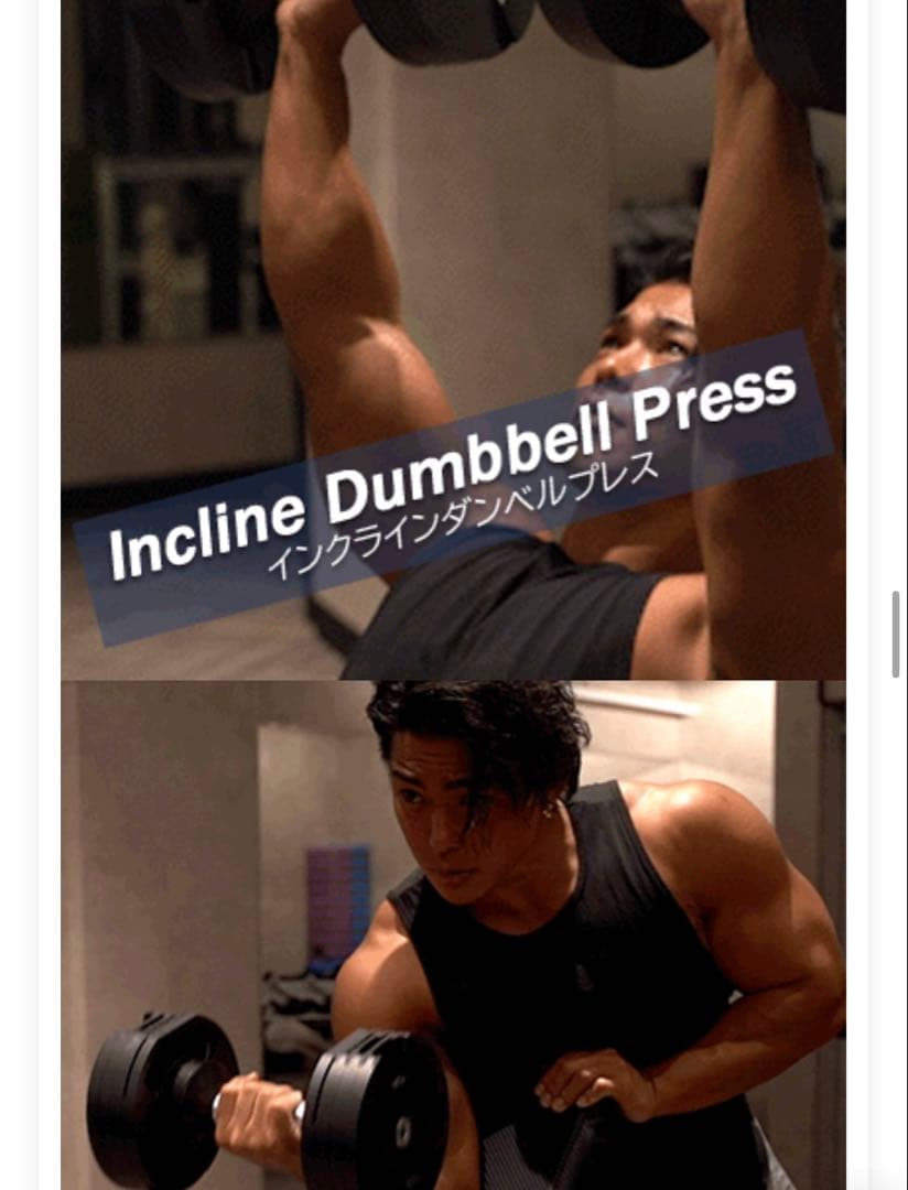 (セット品1/2) FLEXBELL フレックスベル 新型　32kg 2kg刻み