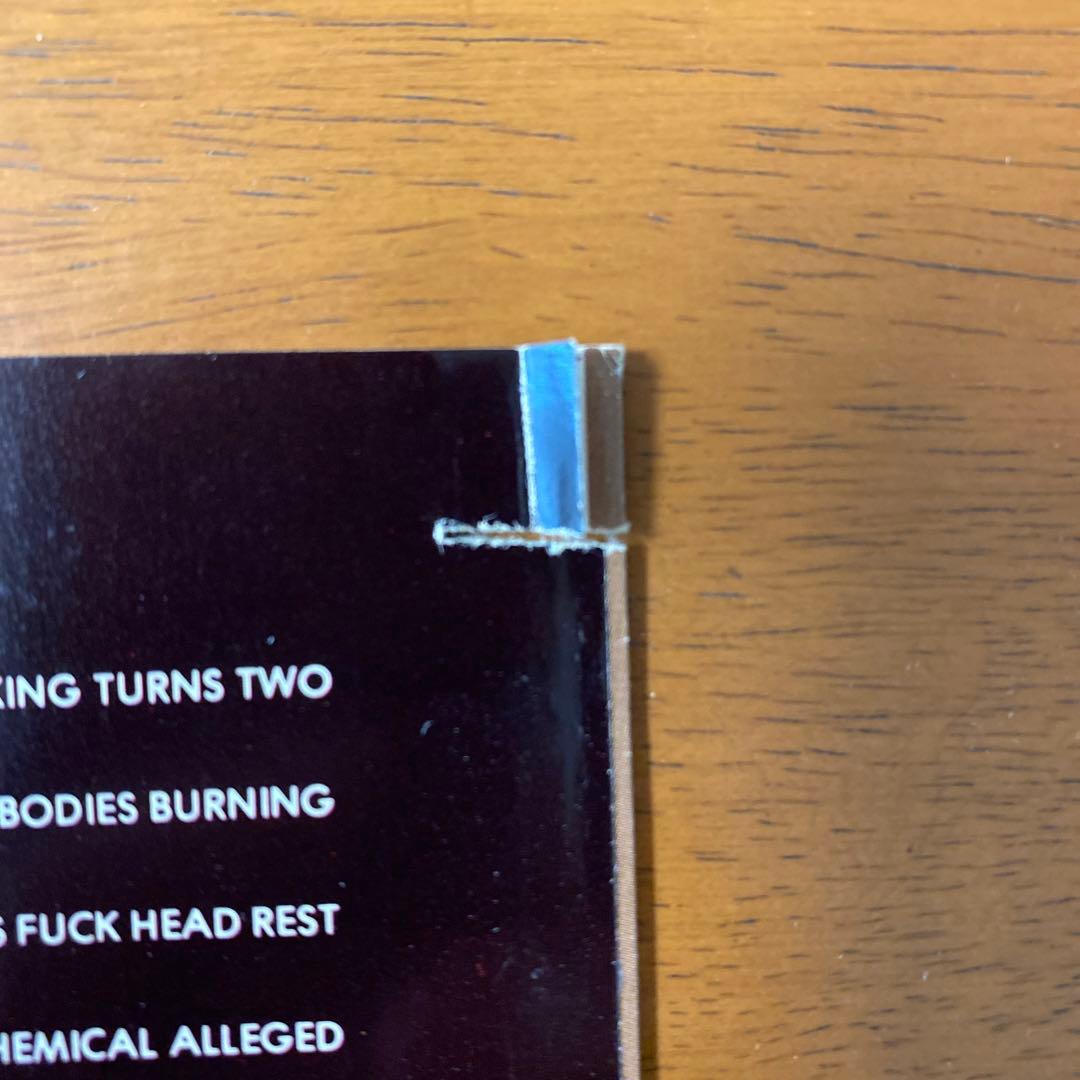 【希少盤】Skinny Puppy / VIVIsectVI　インダストリアル