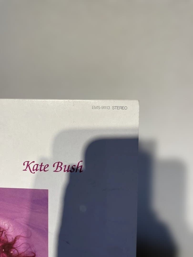 Kate Bush(ケイト・ブッシュ)「Hounds Of Love