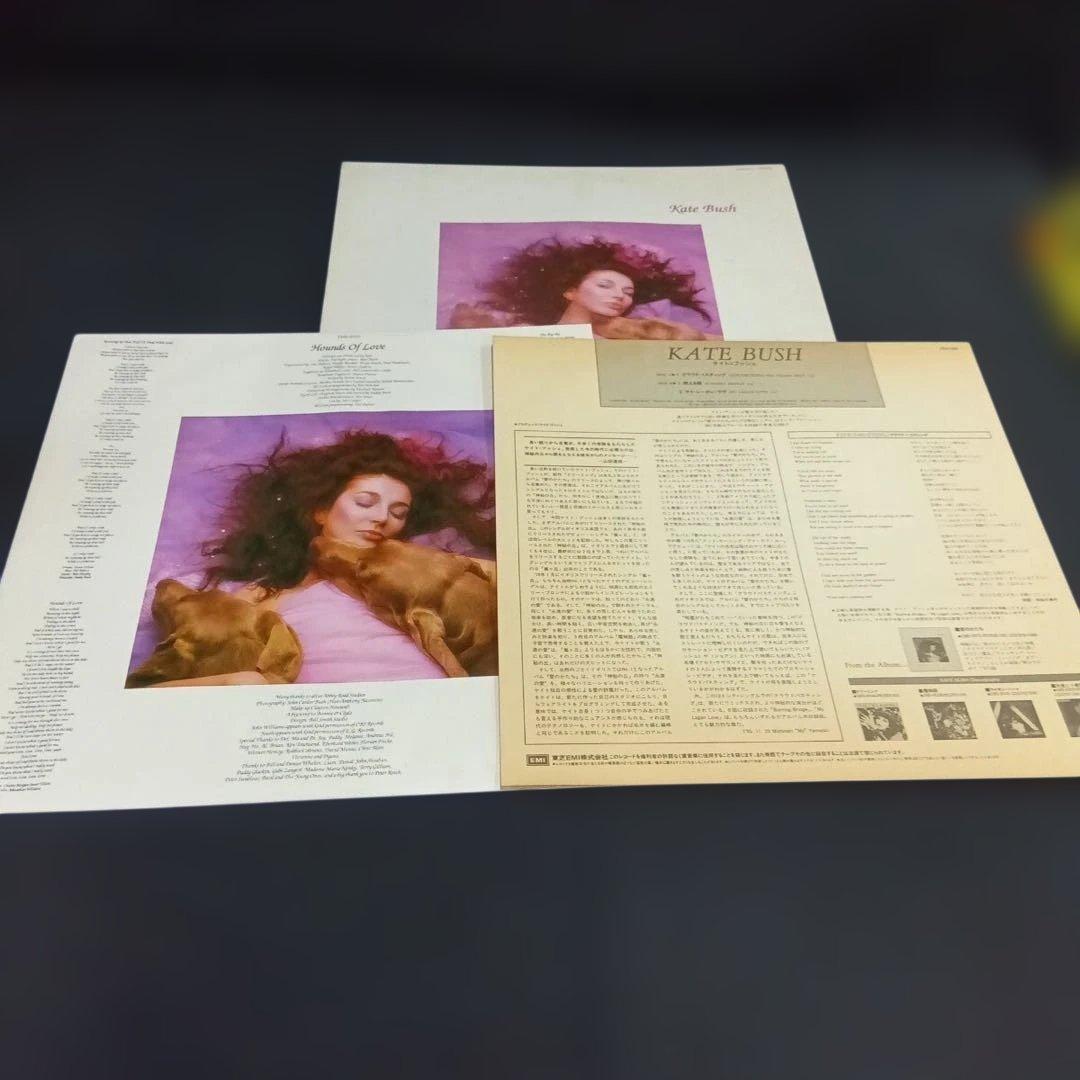 Kate Bush(ケイト・ブッシュ)「Hounds Of Love