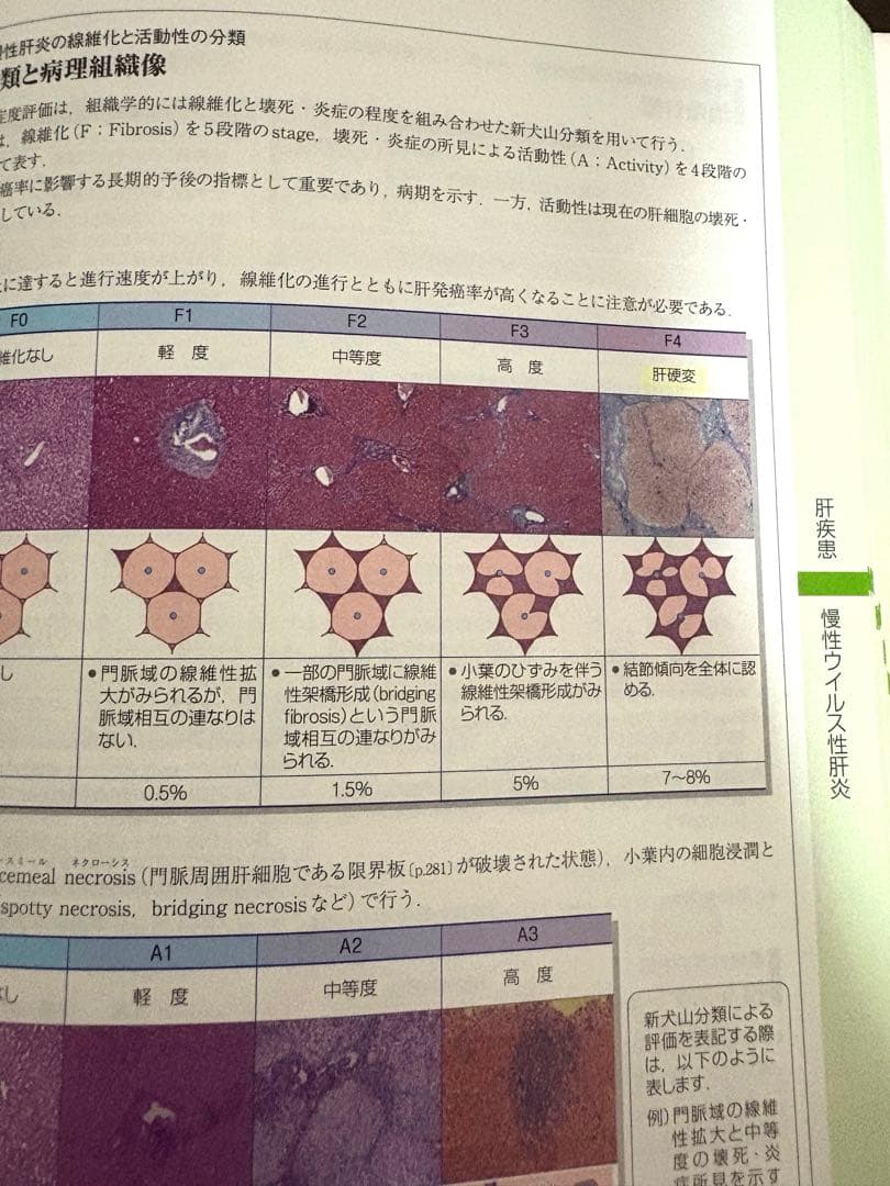 病気がみえる⭐️13冊セット⭐️送料込み