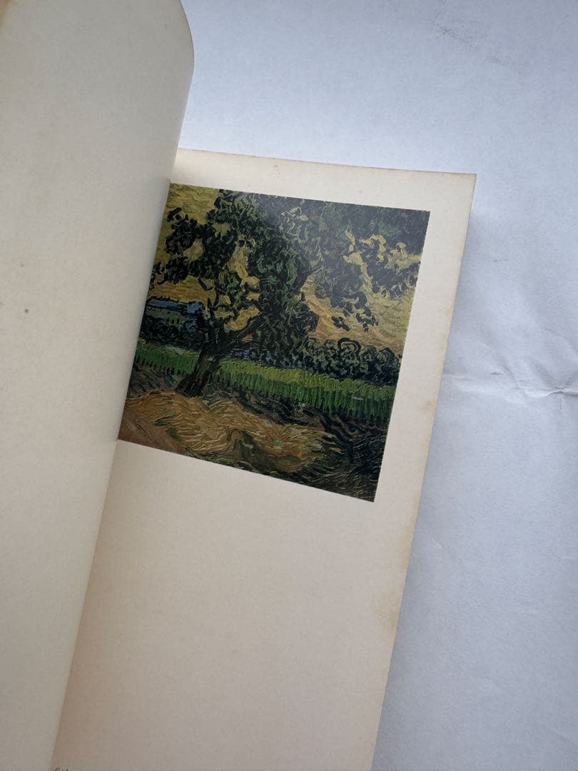 ヴァン・ゴッホ全油彩画集＆展覧会図録 2冊