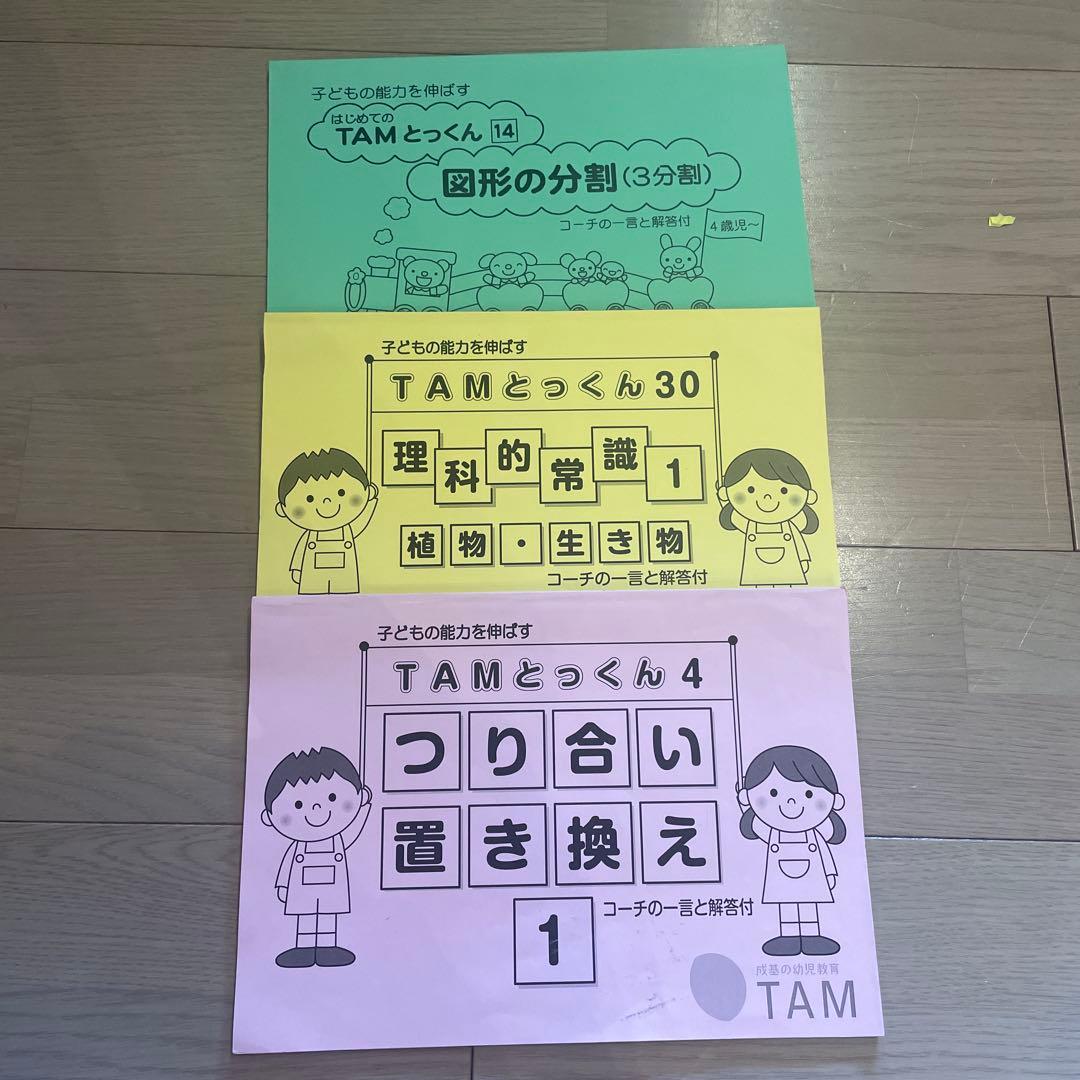 専用！成基学園 TAM 京都教育大学附属小中学校入試問題集＆かるがもセット