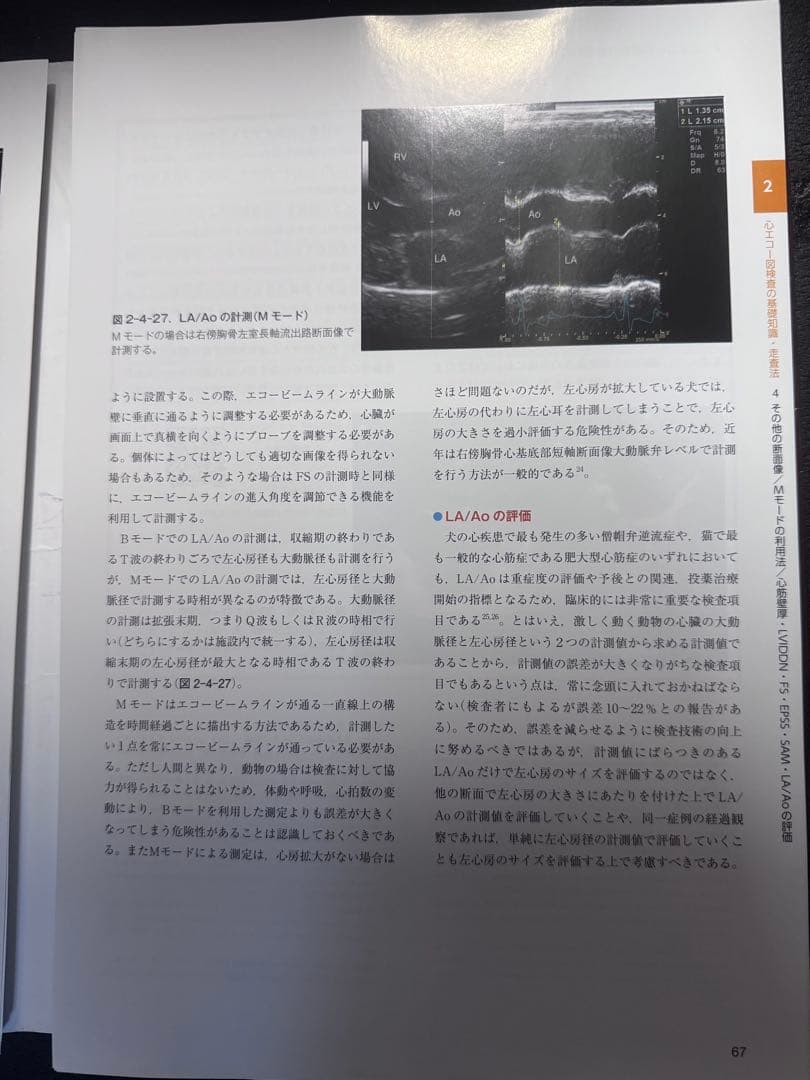 ＊裁断済み　実践 犬と猫の心エコー図検査