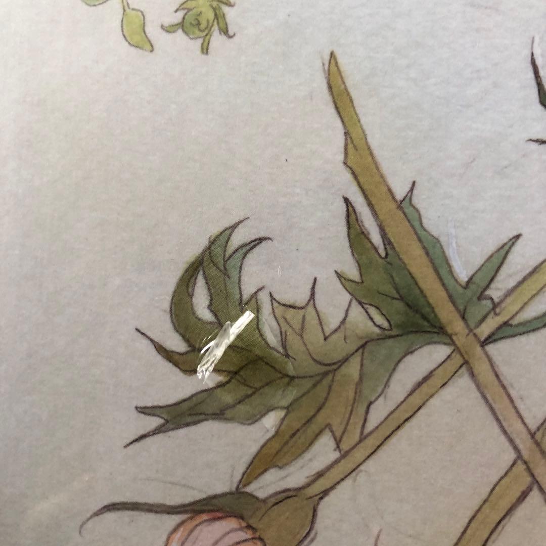 清水玲子　原画展イラスト集