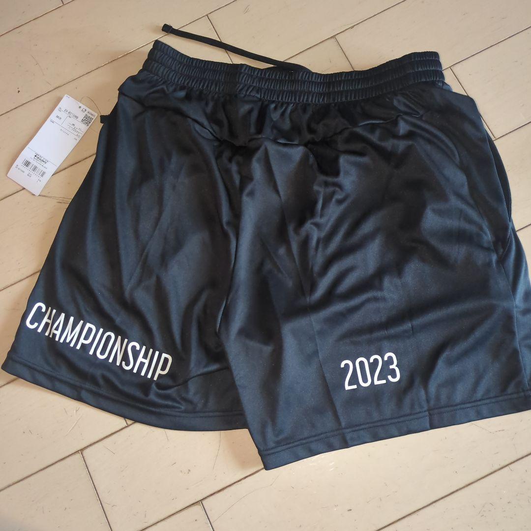 激レア デサント バレーボール ゲームパンツ オールジャパン 国体 天皇杯