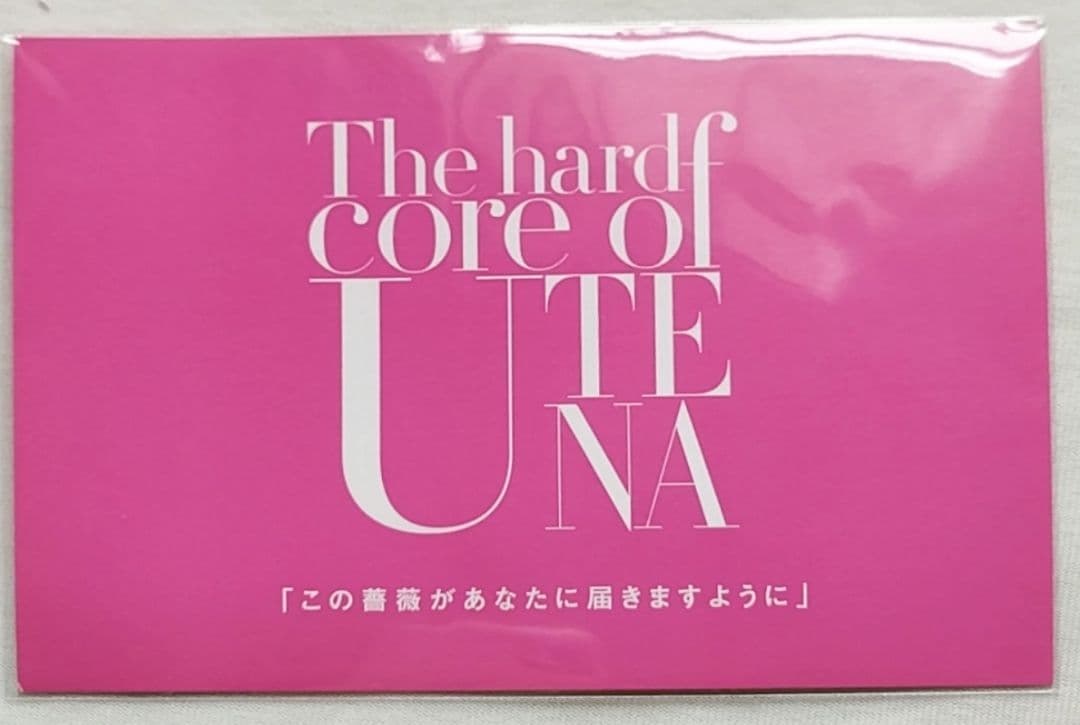 少女革命ウテナ画集 The hard Core of utena２冊+特典納品書