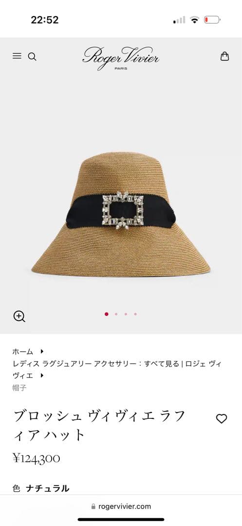 Roger vivier ブロッシュ ヴィヴィエ ラフィア ハット