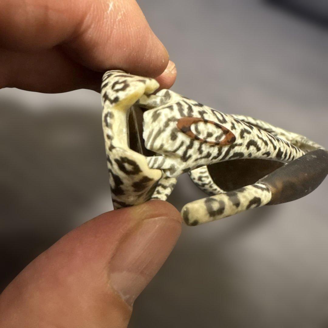 小物 OAKLEY EYE JACKET CHEETAH