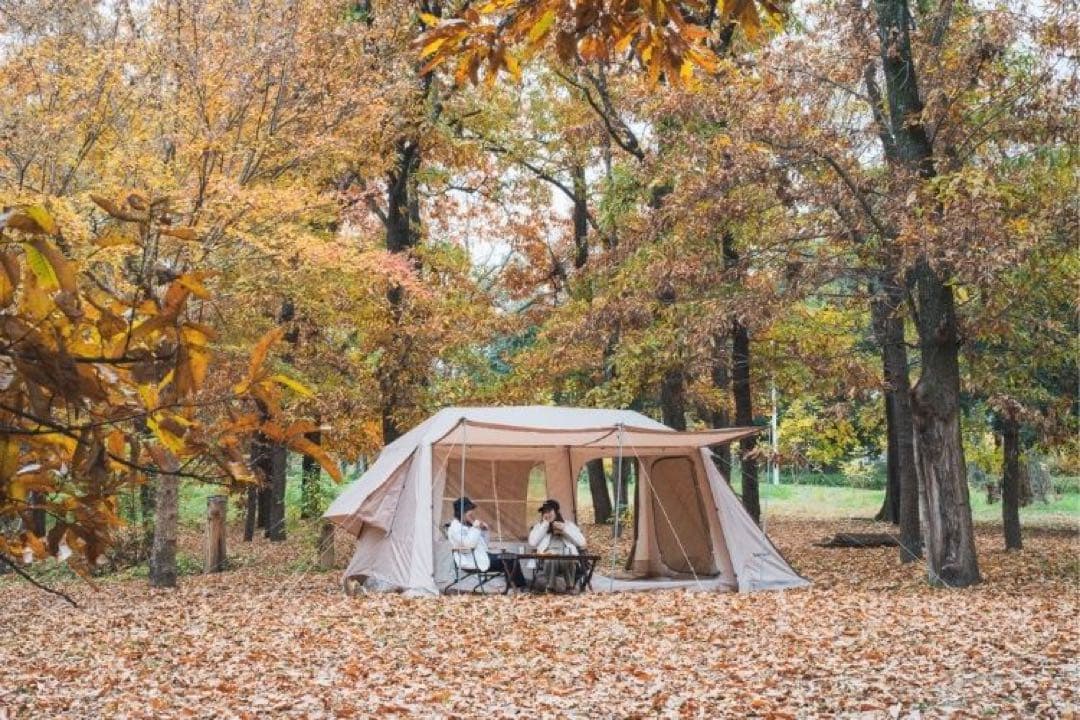 senai75 ナインヒルズ ninehills 大型ワンタッチテント 最新版