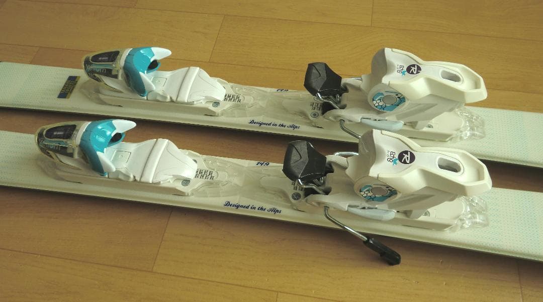 ■■12月・1月限定■送料無料■女性用スキーセット■149/25-25.5■■