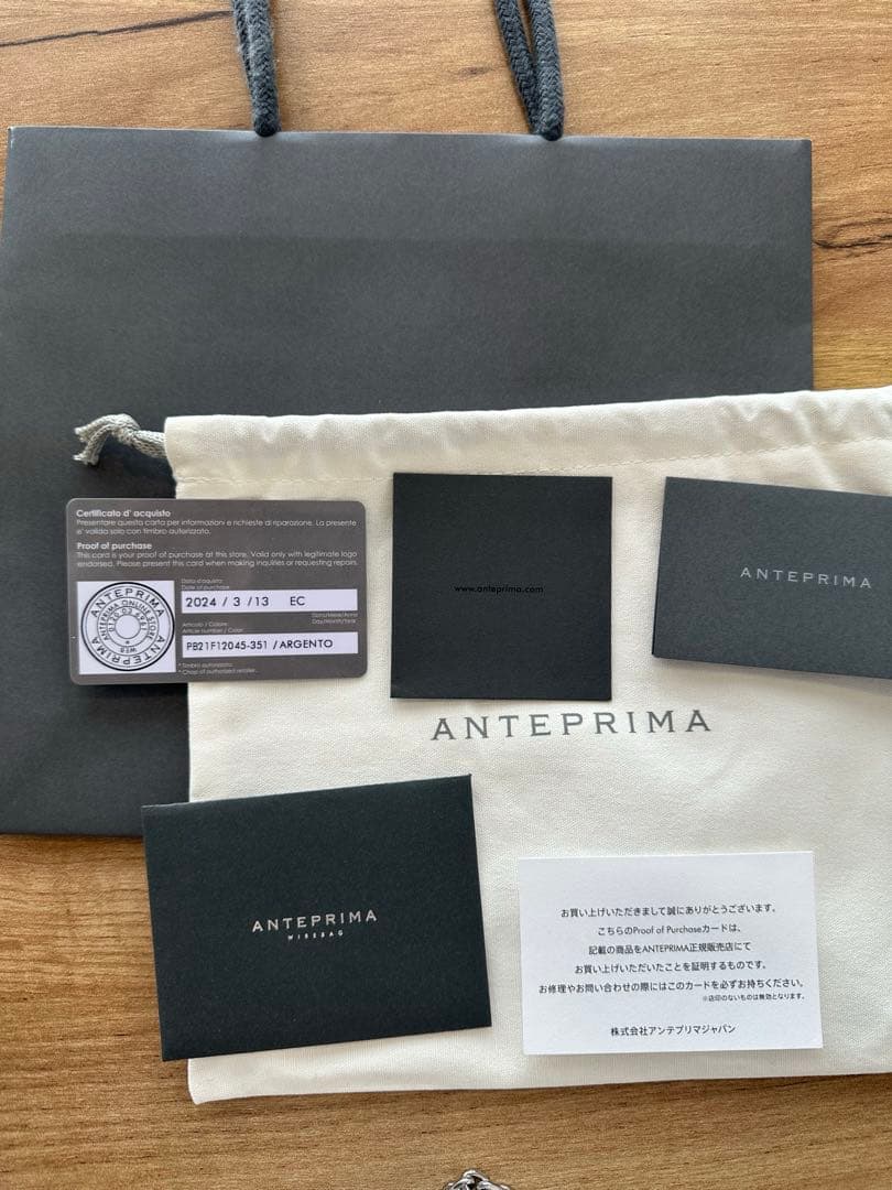 ANTEPRIMAワイヤーバッグ スタンダードミニアトゥーラ シルバー