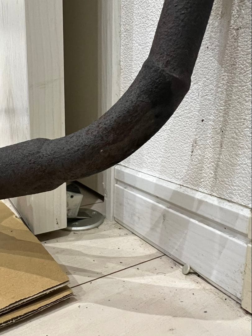 ZEROデューク　ライブディオZX　diozx AF34 AF35